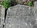 image of grave number 740106